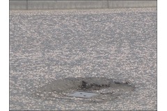 British drivers critical of road maintenance