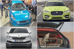 Weekly round-up: Skoda&rsquo;s new SUV, Fiesta festivities, a falcon-ferrying Bentley and Audi&rsquo;s A3 e-tron driven