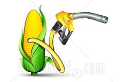 Calls for modification of Renewable Fuel Standard