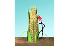 Audi gives thumbs up with e-ethanol