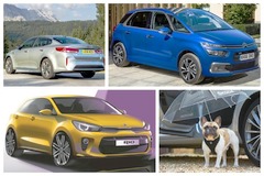 Weekly round-up: Kia cash in, canine companions, road tax changes and Paris Motor Show preview