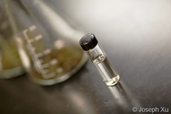 Fungus and bacteria work together for better biofuel