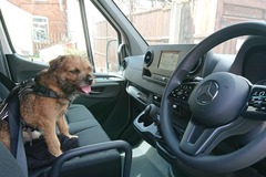 A (van) man&rsquo;s best friend? Dogs make drivers happy&hellip;