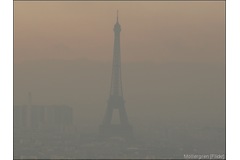 Polluted Paris bans trucks and half of all cars to improve air quality