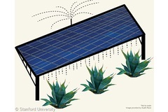 Solar biofuel farms could double fuel source