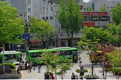 South Korea: Electric buses recharge as they drive