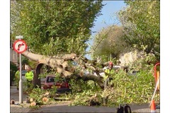 Storm St Jude a reminder to be ready for bad driving conditions