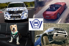Weekly Wheelspin: Bank holiday bonus, some pawfect cars and Z4 zooms into view