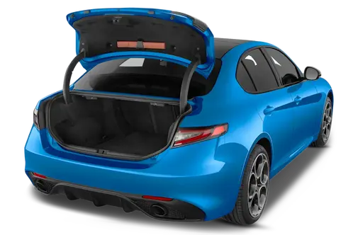 trunk