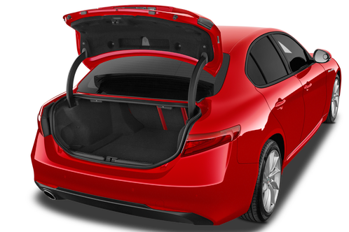 trunk
