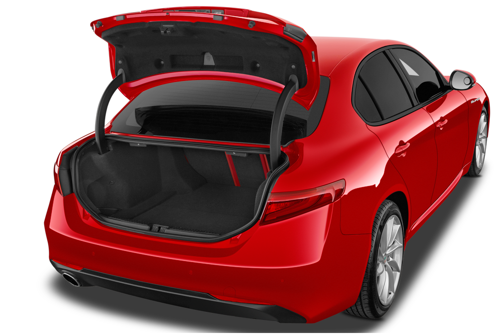 trunk