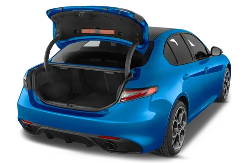 trunk