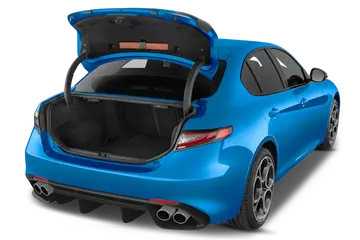trunk