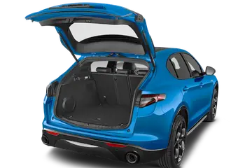 trunk