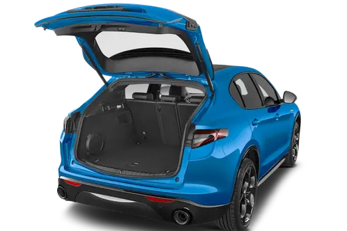 trunk