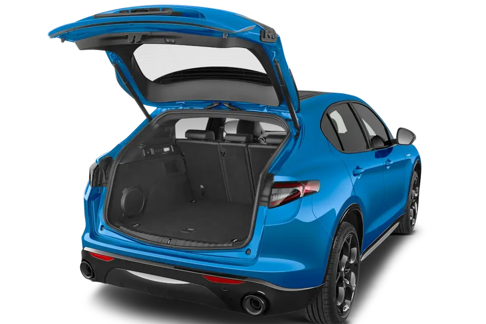trunk
