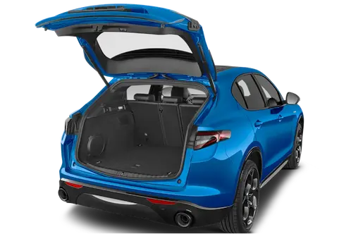 trunk