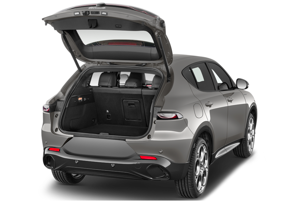 trunk