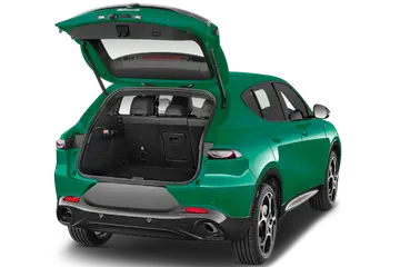trunk