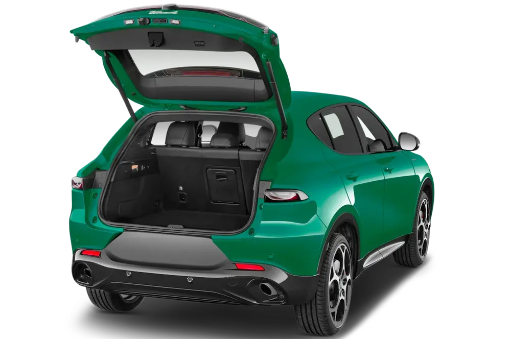 trunk