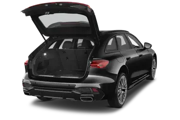 trunk