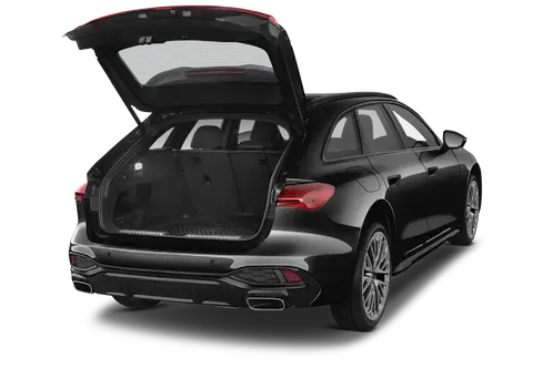 trunk