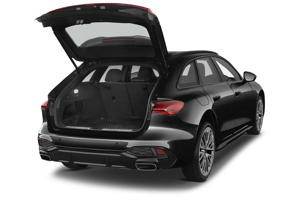 trunk