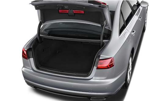 trunk