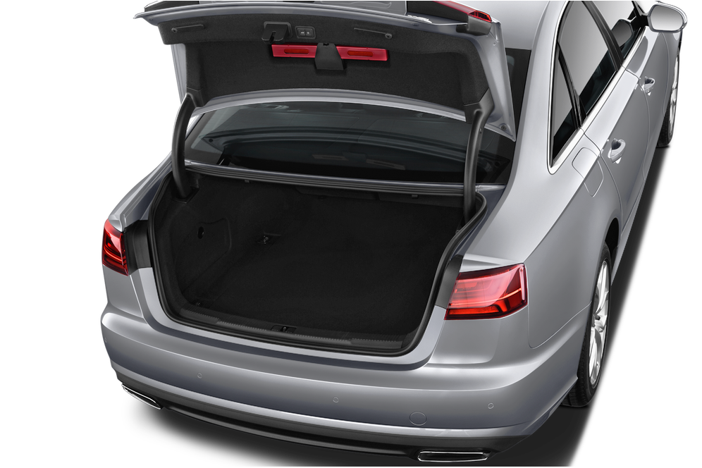 trunk