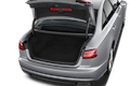 trunk