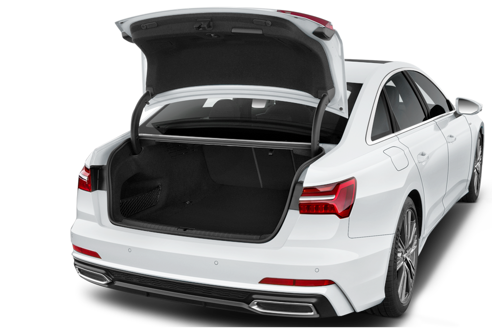 trunk