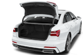 trunk