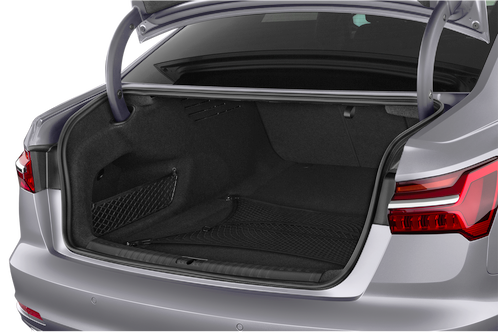 trunk
