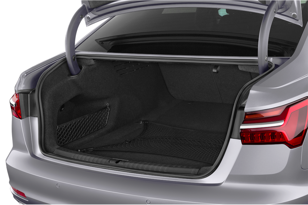 trunk