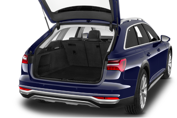 trunk