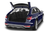 trunk
