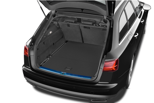 trunk