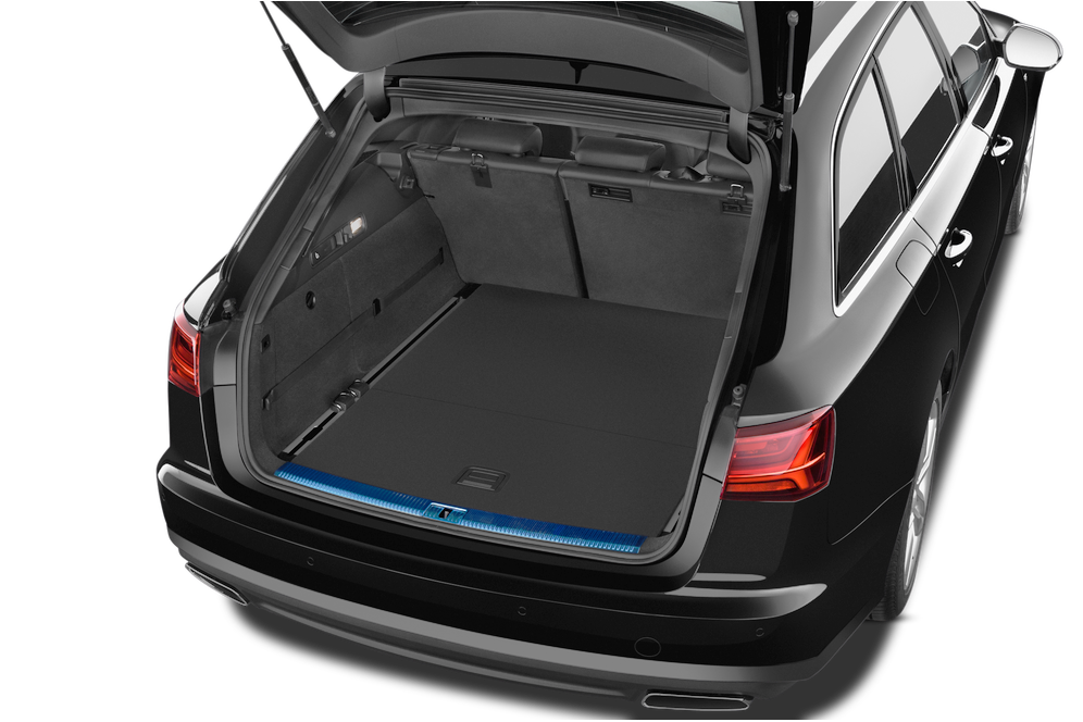 trunk