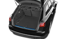 trunk