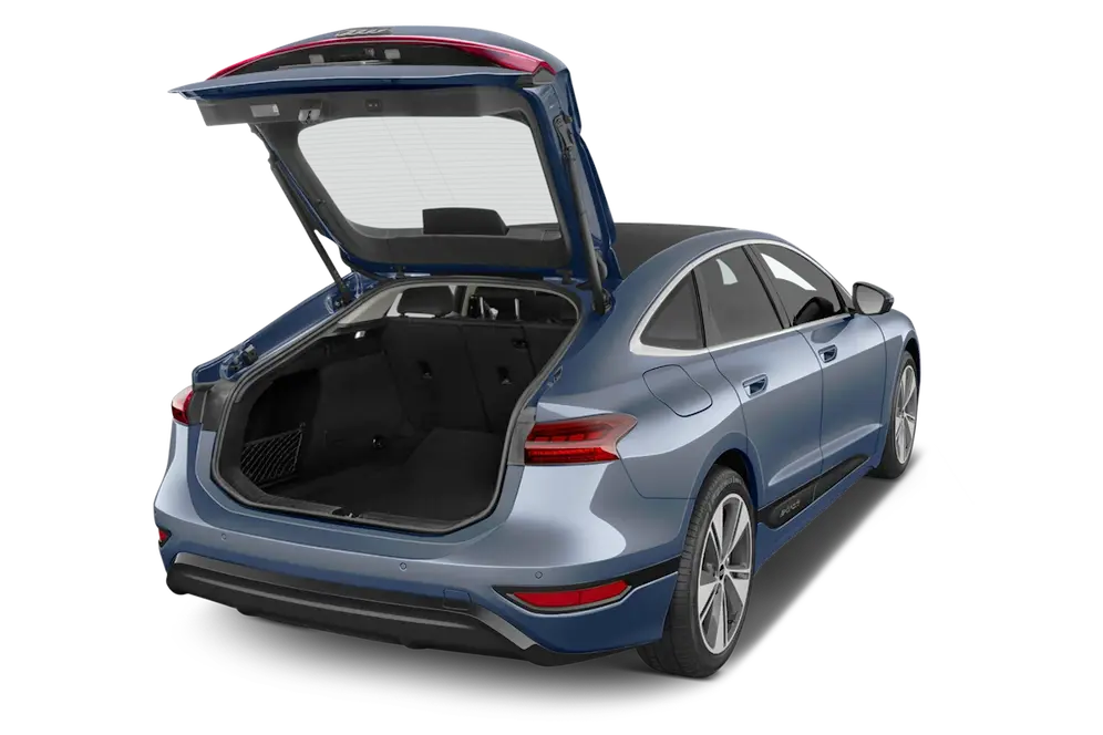 trunk