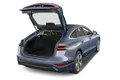 trunk