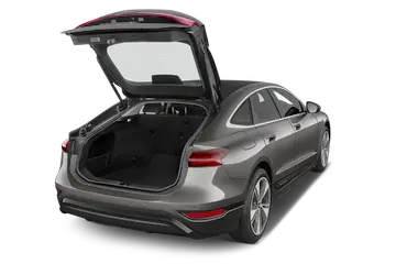 trunk
