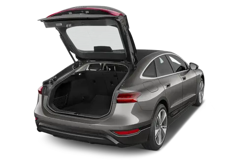 trunk