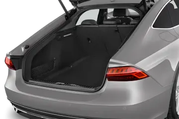 trunk