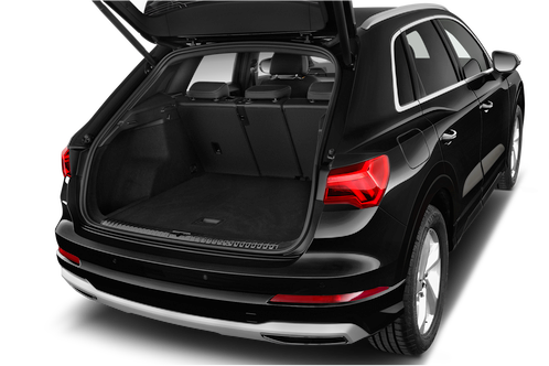 trunk