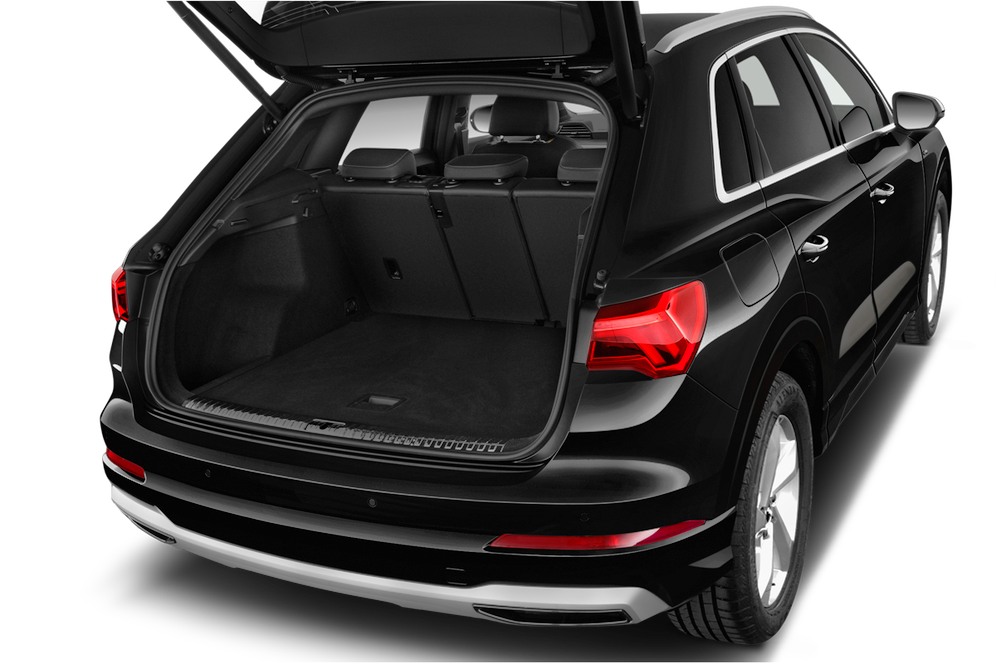 trunk