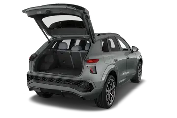 trunk