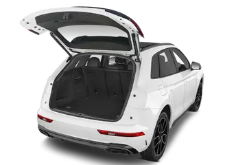 trunk