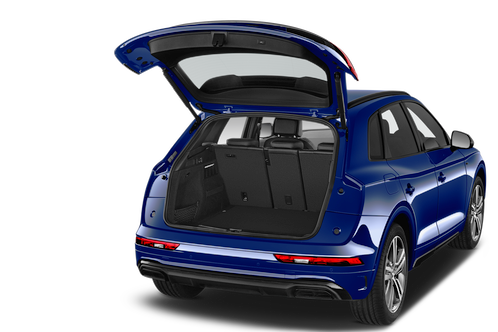trunk