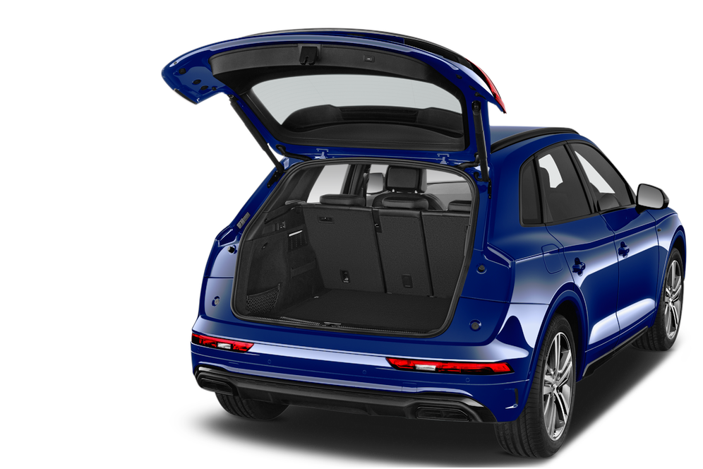 trunk
